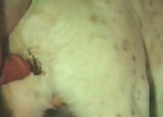 Doggy style fuck session to keep you real horny