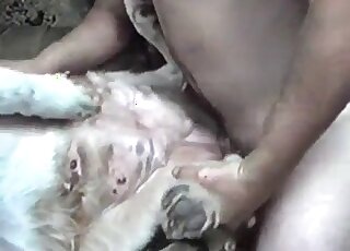 Missionary fuck movie featuring farm beasts