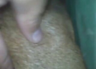 حيوان عاطفي يمارس الجنس معك ليجعلك تنزل