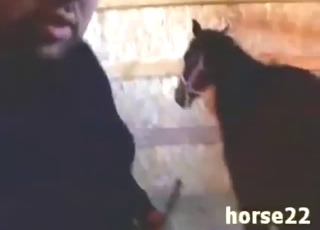 MILF mommy of a mare gets fisted super-hard