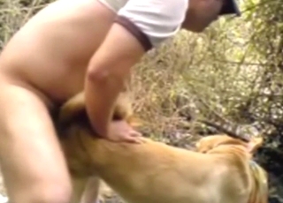 Slacker is going to fuck that animal from behind