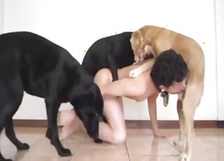 Animal Threesome