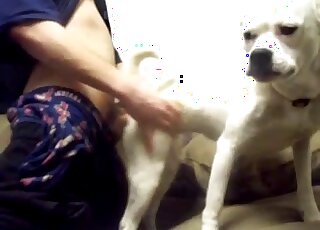 Awesome white hound screwed in the doggy style pose