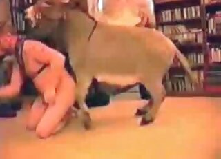 Intense bestiality with a kinky animal