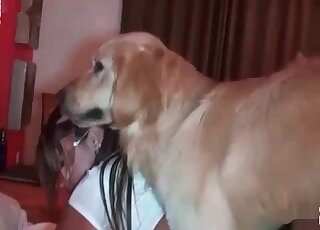 Moist love hole getting screwed by a doggo